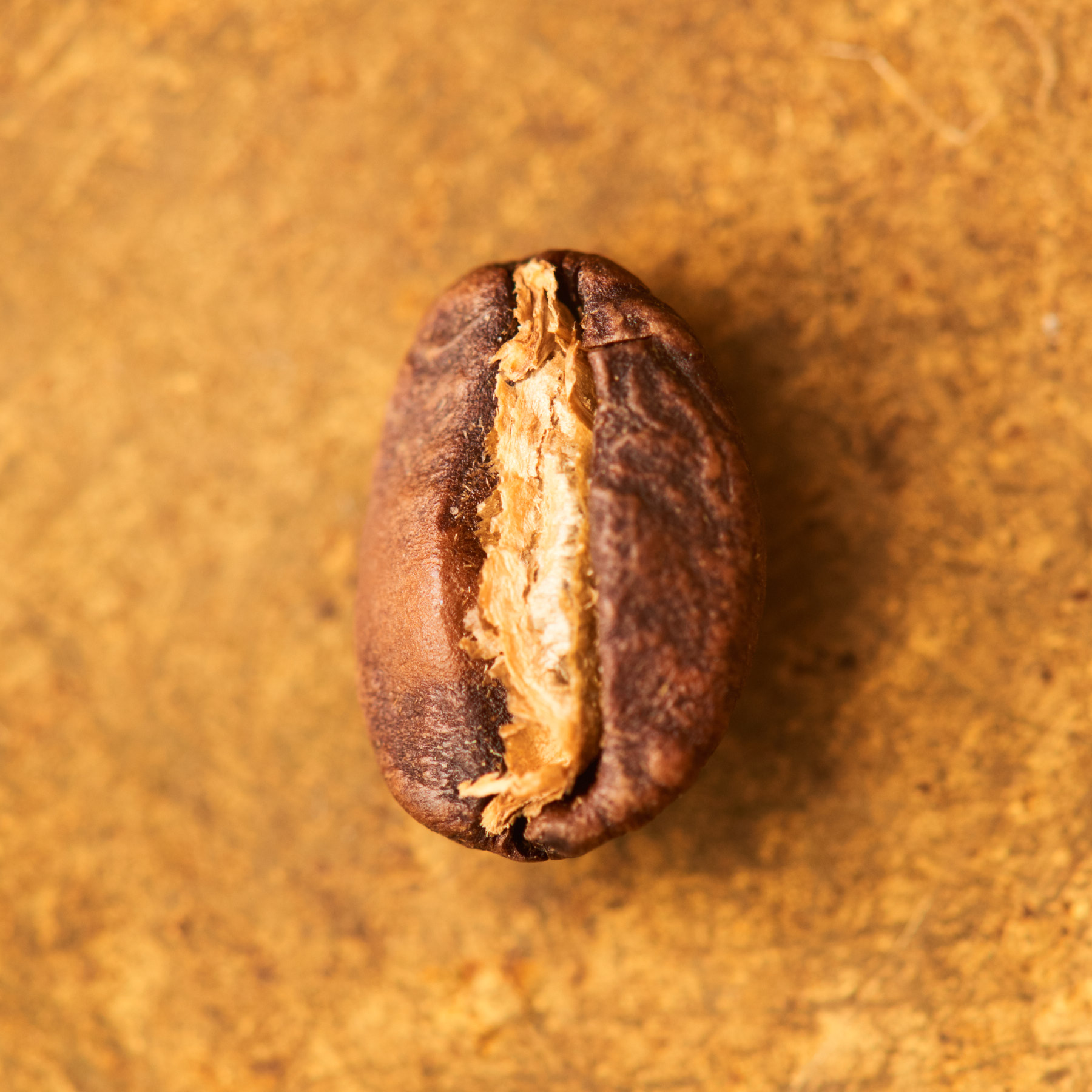 Photo of Äthiopien Sidamo Espresso | Die Rösterei Coffeum Hamburg