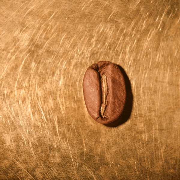 Galapagos Drachenkaffee