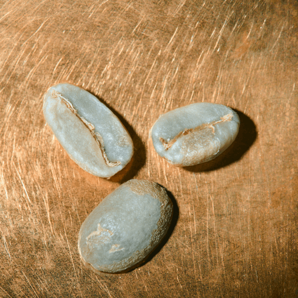 Rohkaffeebohnen  Ecuador Vilcabamba - Tal der Hundertjährigen Portrait | Die Rösterei Coffeum Hamburg