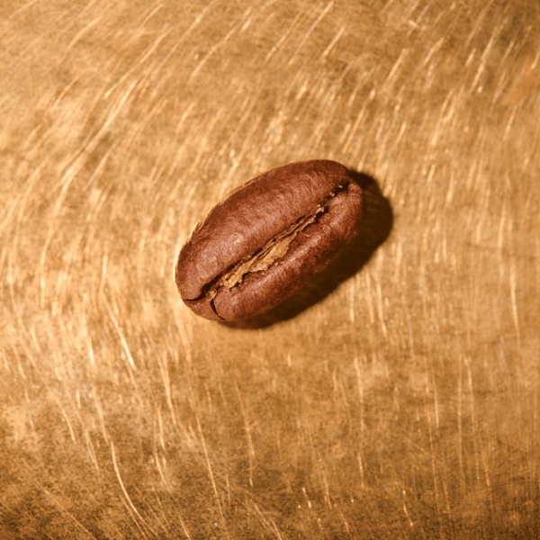 Espresso La Lindosa Segelkaffee