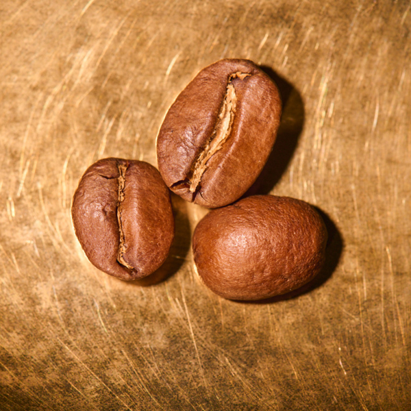 Kaffeebohnen geröstet  Indien Estate Kalledevarapura Portrait | Die Rösterei Coffeum Hamburg