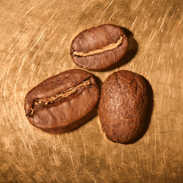 Kaffeebohnen geröstet  Ecuador Vilcabamba - Tal der Hundertjährigen Portrait | Die Rösterei Coffeum Hamburg