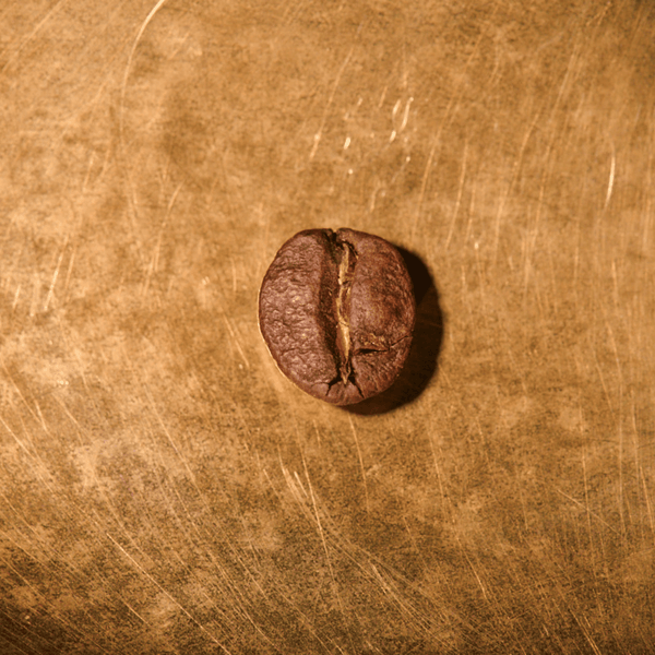 Kaffeebohne geröstet einzeln Brasilien Fazenda Irmas Pereira Lot 20 Portrait | Die Rösterei Coffeum Hamburg