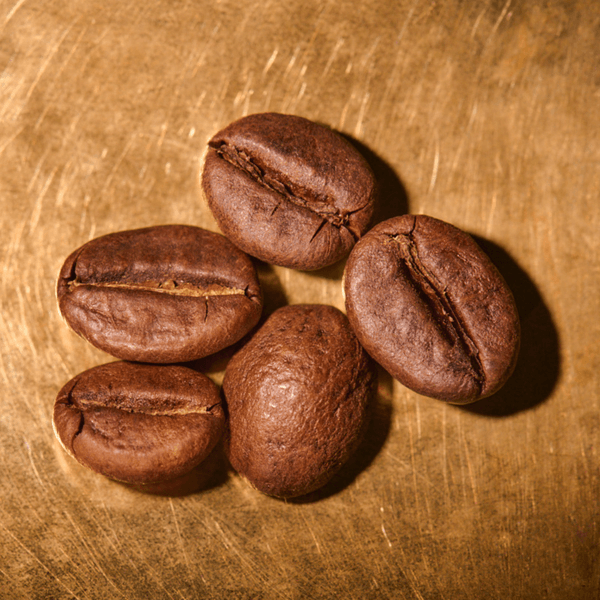 Kaffeebohnen geröstet  Indien R100 - Harley Estate Portrait | Die Rösterei Coffeum Hamburg