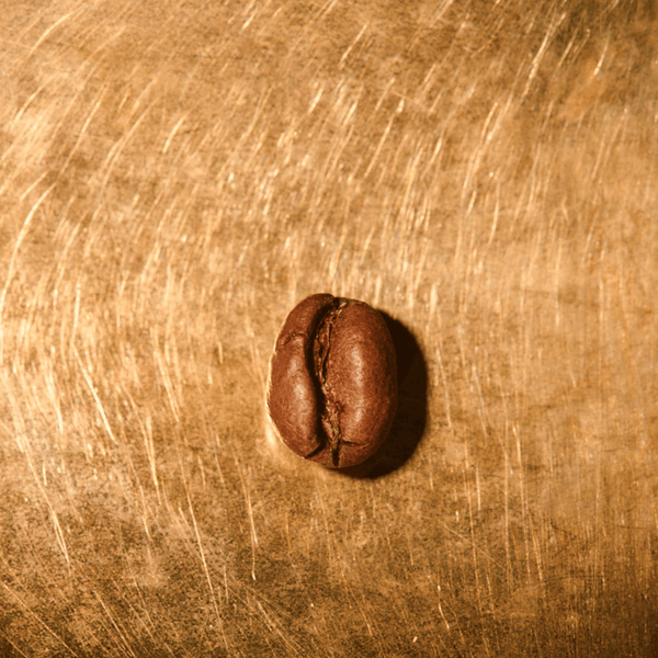 Kaffa Forest Espresso